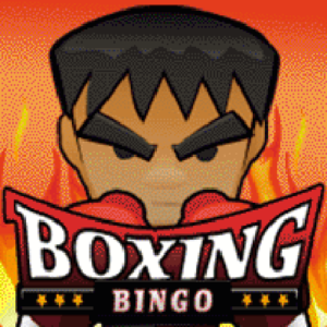 Boxing Bingo Maxfair